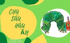 chu sau hau an