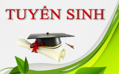 Hướng dẫn PHHS đăng ký và tra cứu kết quả tuyển sinh trực tuyến qua hệ thống tuyển sinh đầu cấp